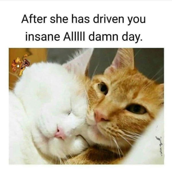 Relationship Memes (39 pics) Relationship Memes (39 pics)