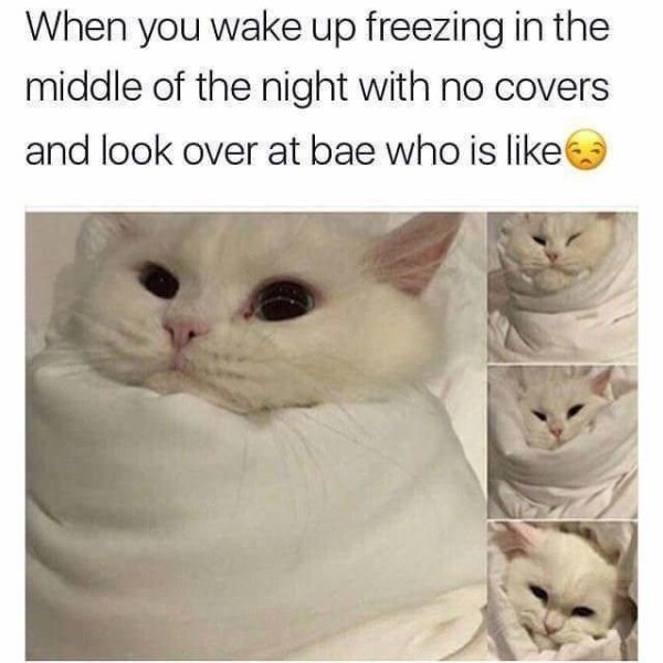 Relationship Memes (39 pics) Relationship Memes (39 pics)