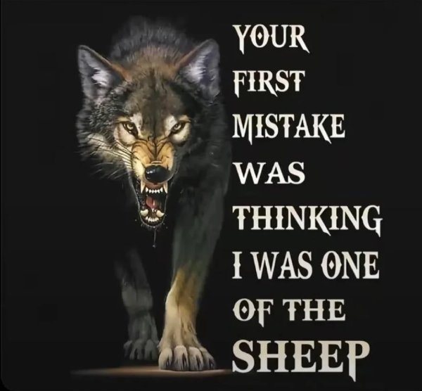 Wise Thoughts (41 pics) Wise Thoughts (41 pics)