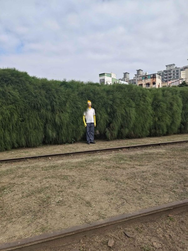 What Is Going On Here? (45 pics)