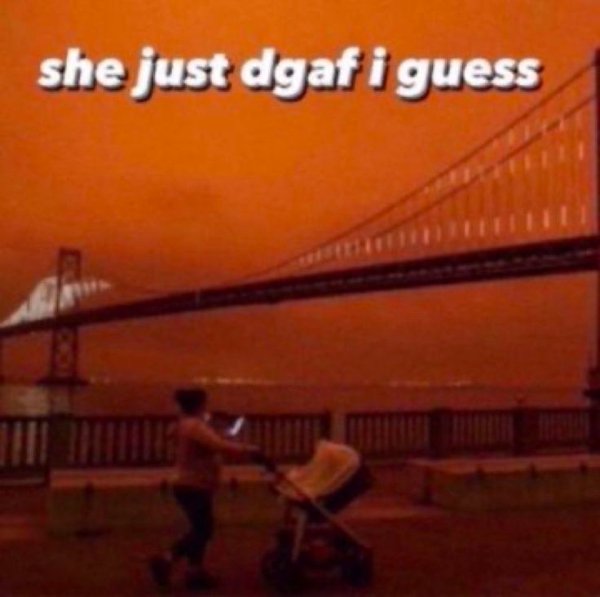 Random Memes (27 pics)