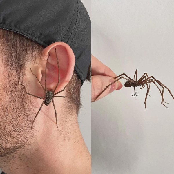 What Is Going On Here? (45 pics)