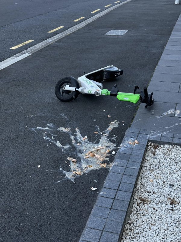 What Is Going On Here? (45 pics)