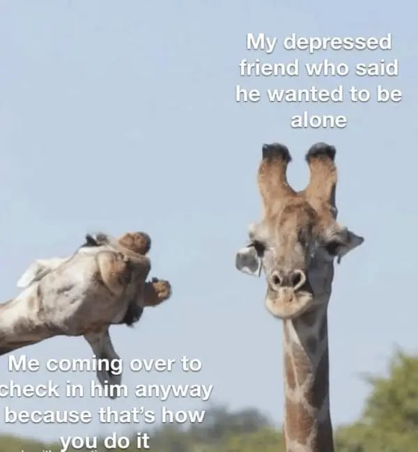 Kind Memes (27 pics)