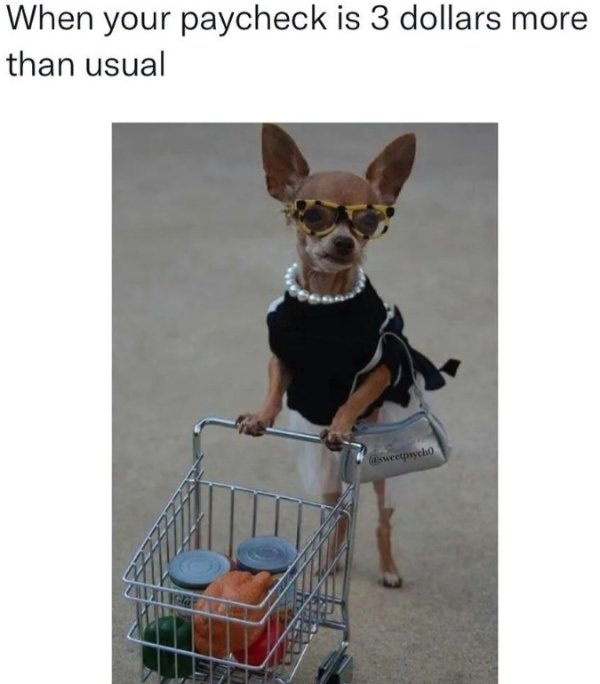 Financial Memes (44 pics)