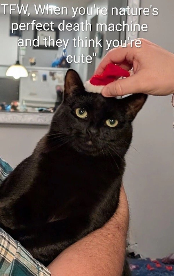 Funny Memes (31 pics) Funny Memes (31 pics)