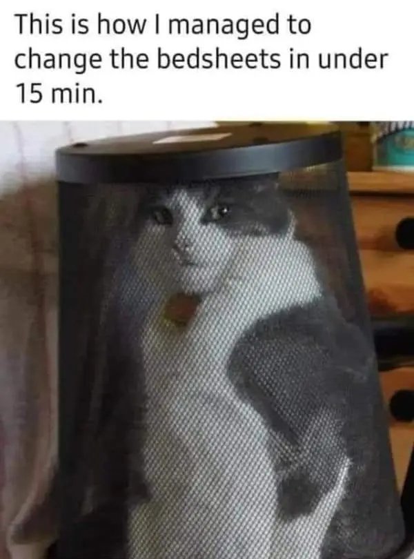 Kind Memes (27 pics)