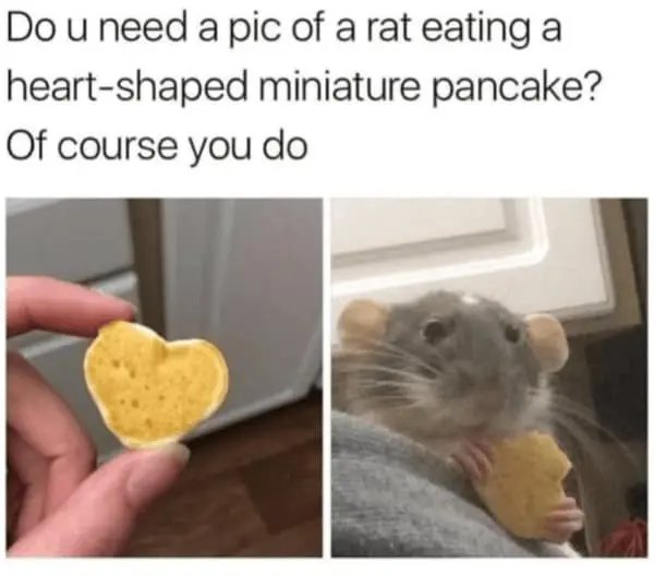 Kind Memes (27 pics)