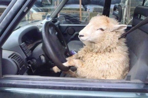 What Is Going On Here? (45 pics)