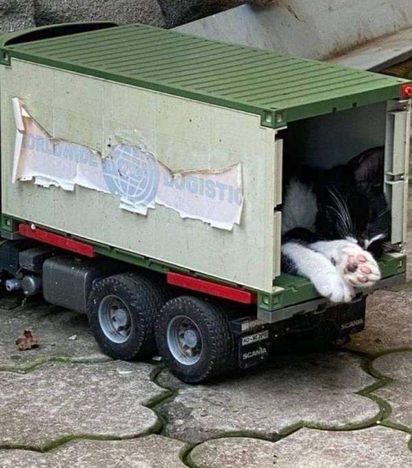 What Is Going On Here? (45 pics)