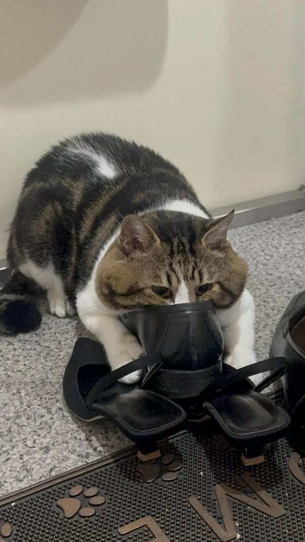 What Is Going On Here? (45 pics)