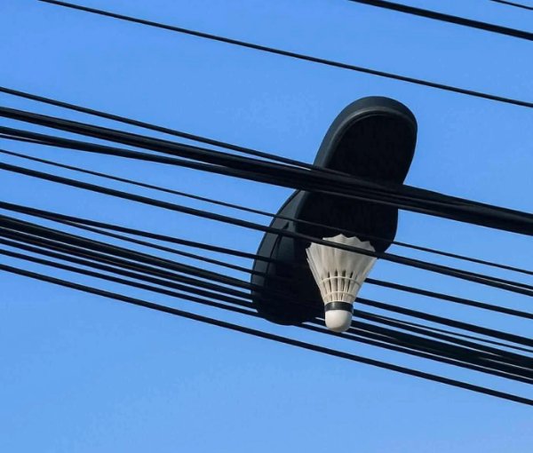 What Is Going On Here? (45 pics)