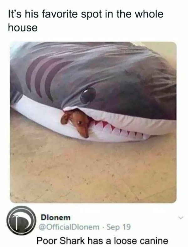 Kind Memes (27 pics)