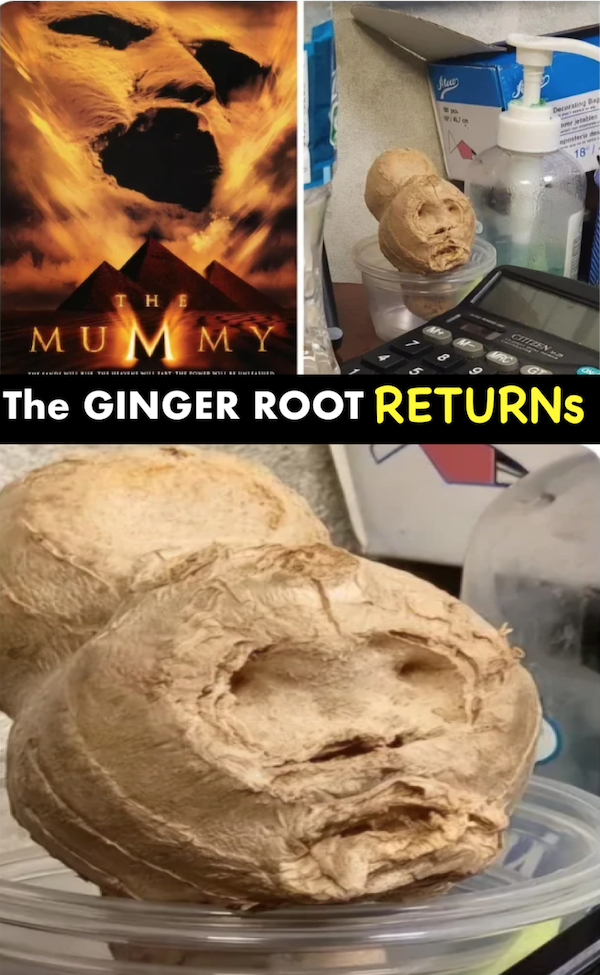 Funny Memes (31 pics) Funny Memes (31 pics)