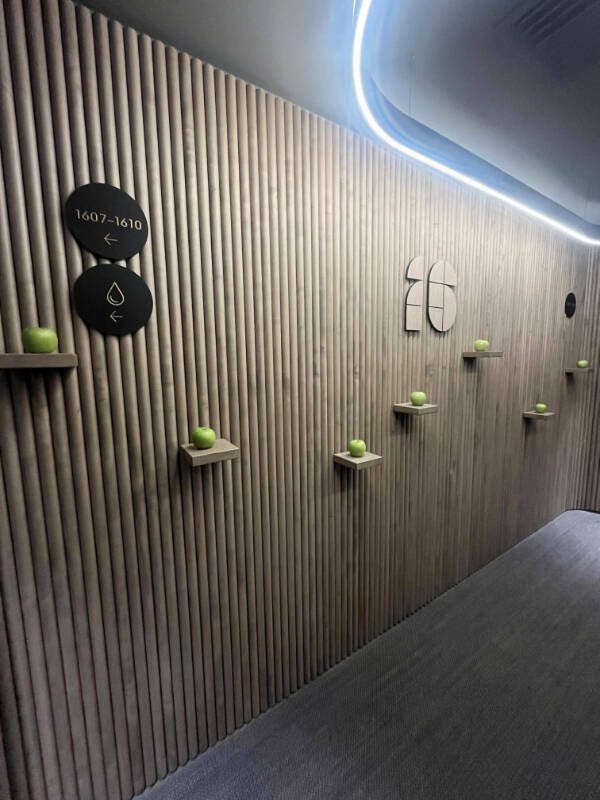 Interesting Finds (24 pics)