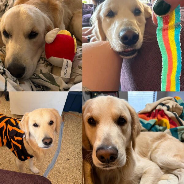 Interesting Finds (24 pics)