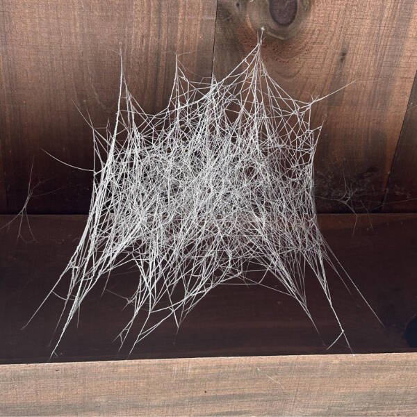 Interesting Finds (24 pics)