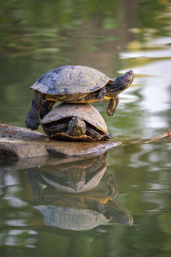 Interesting Finds (24 pics)