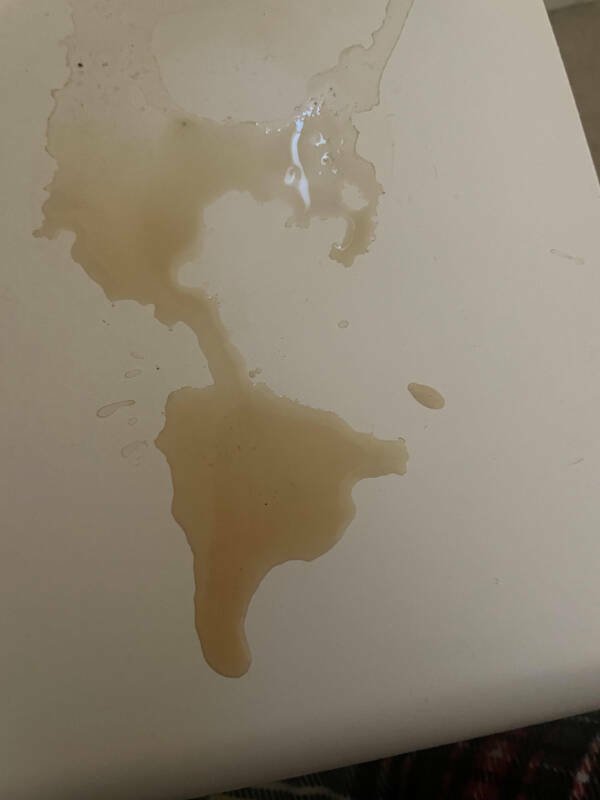 Interesting Finds (24 pics)