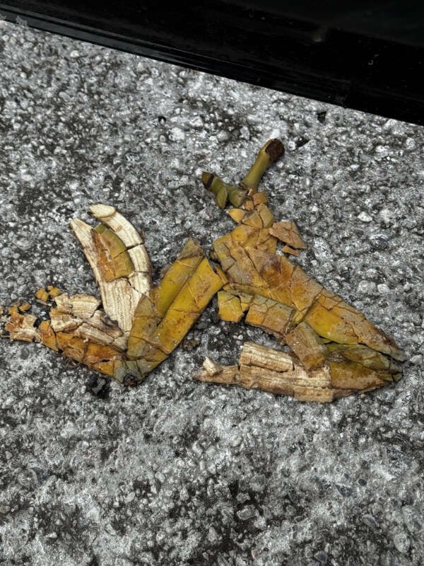 Interesting Finds (24 pics)