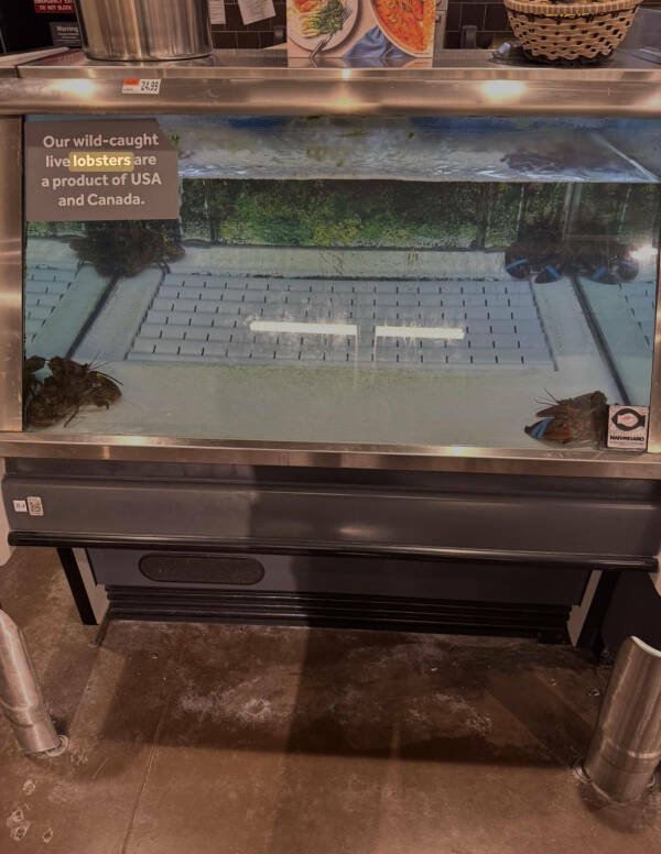 Interesting Finds (24 pics)