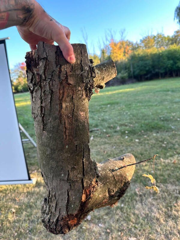 Interesting Finds (24 pics)