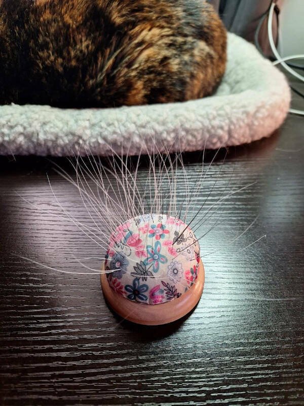 Interesting Finds (24 pics)