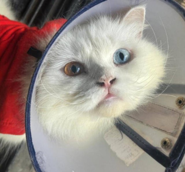 Interesting Finds (24 pics)