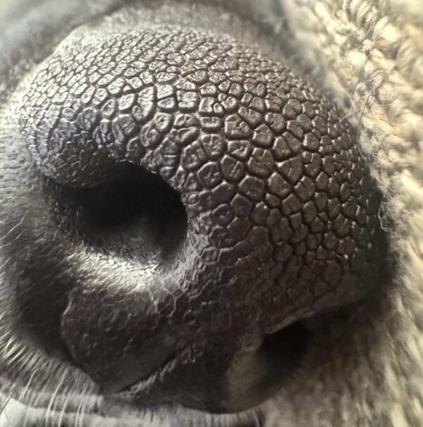 Interesting Finds (24 pics)