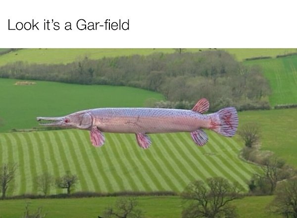 Funny Memes (39 pics)