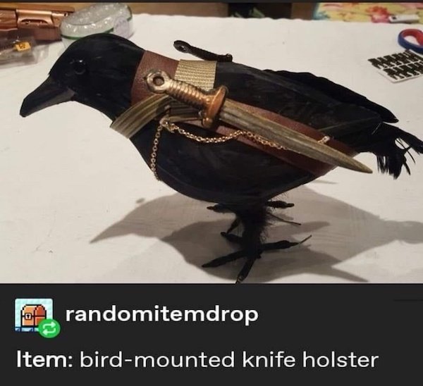 Funny Memes (39 pics)