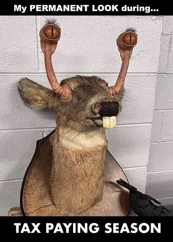 Funny Memes (39 pics)