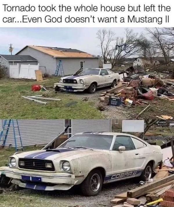 Funny Memes (39 pics)