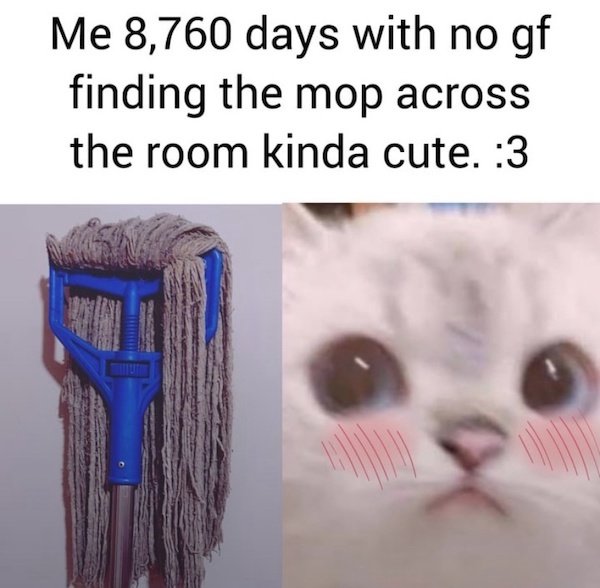 Funny Memes (39 pics)