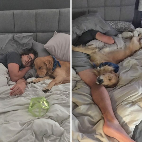 Interesting Comparisons (28 pics)