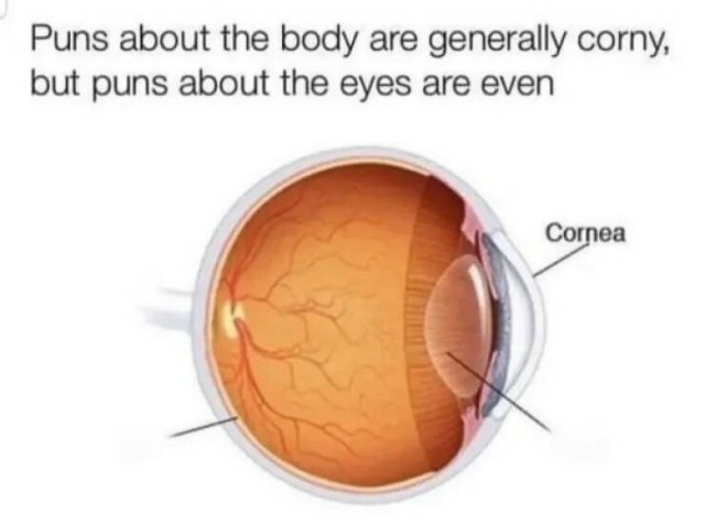 Memes About Glasses (24 pics)