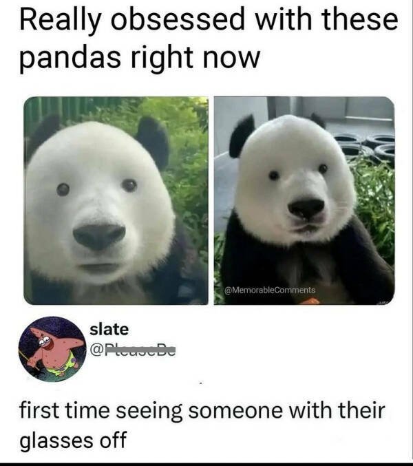 Memes About Glasses (24 pics)