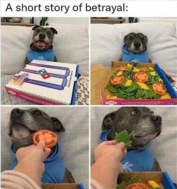 Random Memes (26 pics)