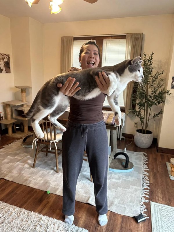 Jokes And Photos For Cats Lovers (33 pics) Jokes And Photos For Cats Lovers (33 pics)