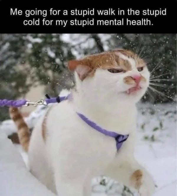 Hilarious Memes (33 pics) Hilarious Memes (33 pics)