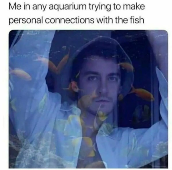 Funny Memes (30 pics)