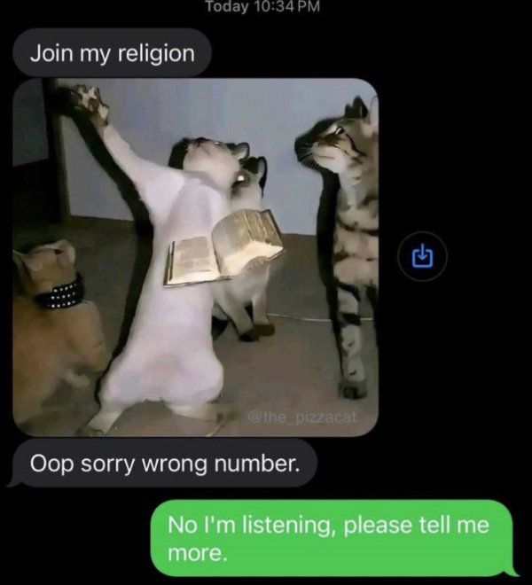 Jokes And Photos For Cats Lovers (33 pics) Jokes And Photos For Cats Lovers (33 pics)