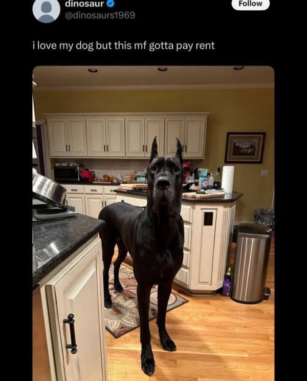 Hilarious Memes (33 pics) Hilarious Memes (33 pics)