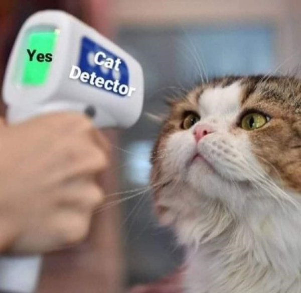 Jokes And Photos For Cats Lovers (33 pics) Jokes And Photos For Cats Lovers (33 pics)