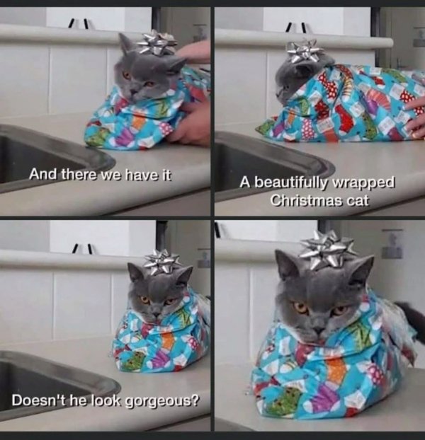 Funny Memes (30 pics)