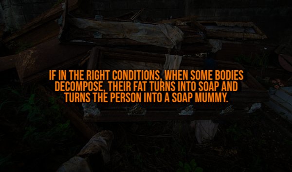 Creepy Facts (14 pics)