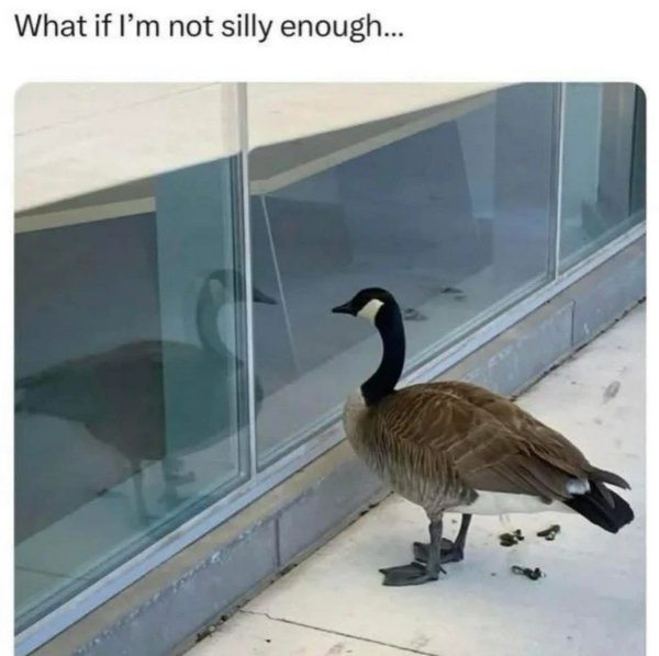 Hilarious Memes (33 pics) Hilarious Memes (33 pics)