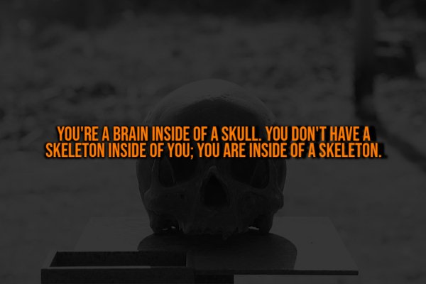 Creepy Facts (14 pics)