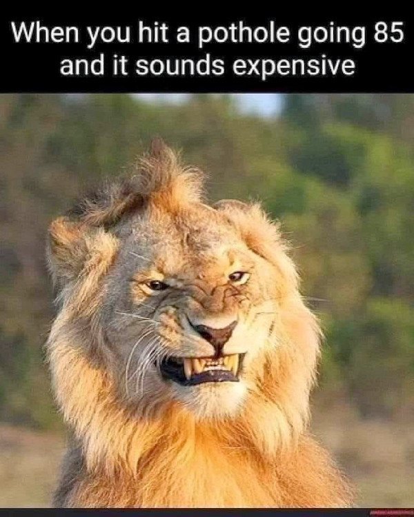 Random Memes (26 pics)