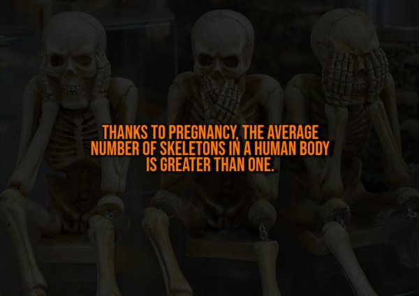 Creepy Facts (14 pics)